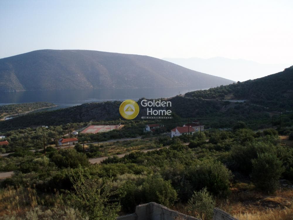 Μονοκατοικία στην Σκροπονέρια, Ακραίφνια — Φωτογραφία 16 από 18