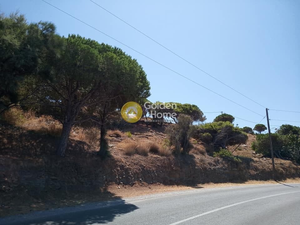 Αγροτεμάχιο στην Γιαλισκάρι, Κέα — Φωτογραφία 4 από 8