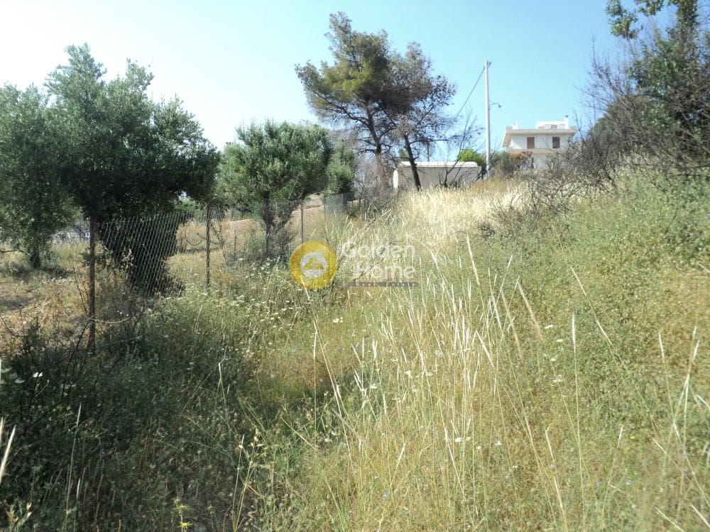 Οικόπεδο στην Κέντρο, Ραφήνα — Φωτογραφία 5 από 5