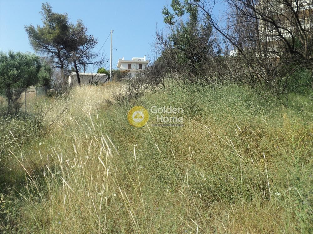 Οικόπεδο στην Κέντρο, Ραφήνα — Φωτογραφία 1 από 5