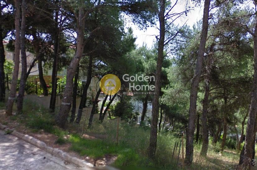 Οικόπεδο στην Ροδόπολη, Ροδόπολη