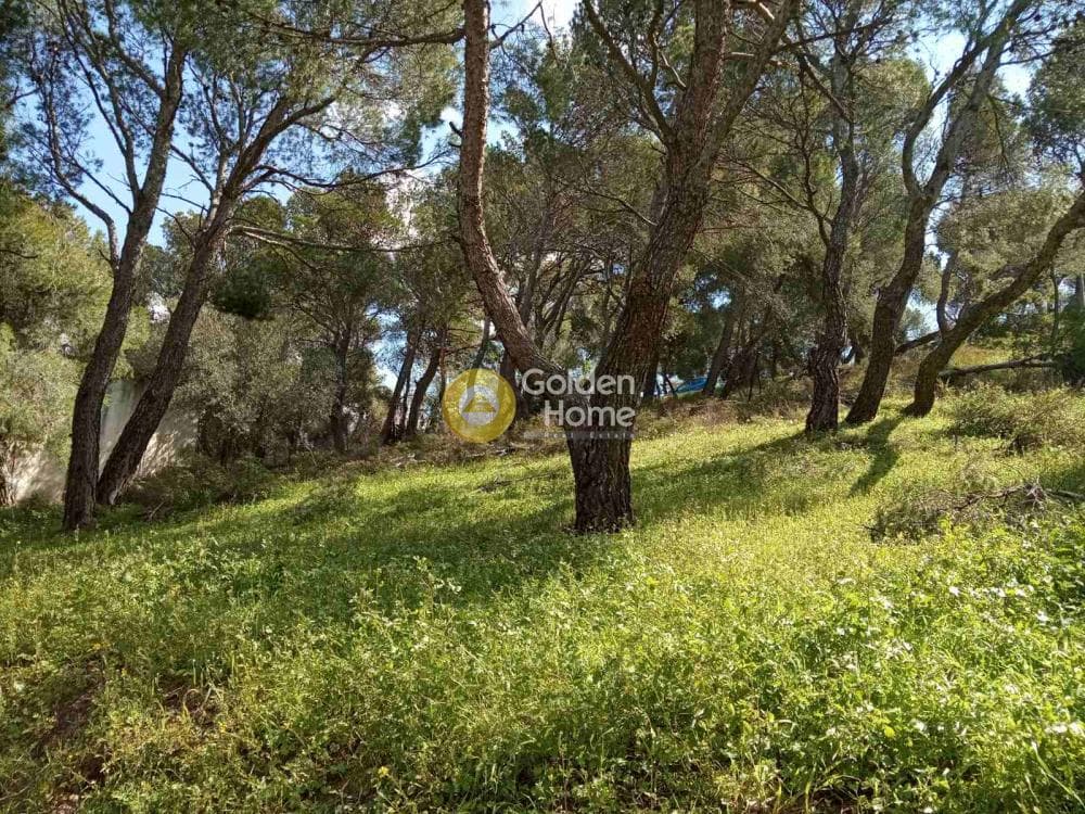 Οικόπεδο στην Κέντρο, Πεντέλη — Φωτογραφία 3 από 5