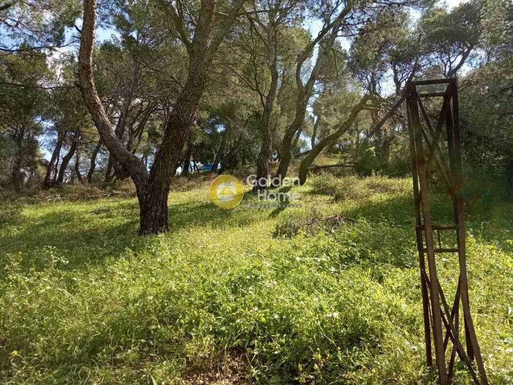 Οικόπεδο στην Κέντρο, Πεντέλη — Φωτογραφία 4 από 5