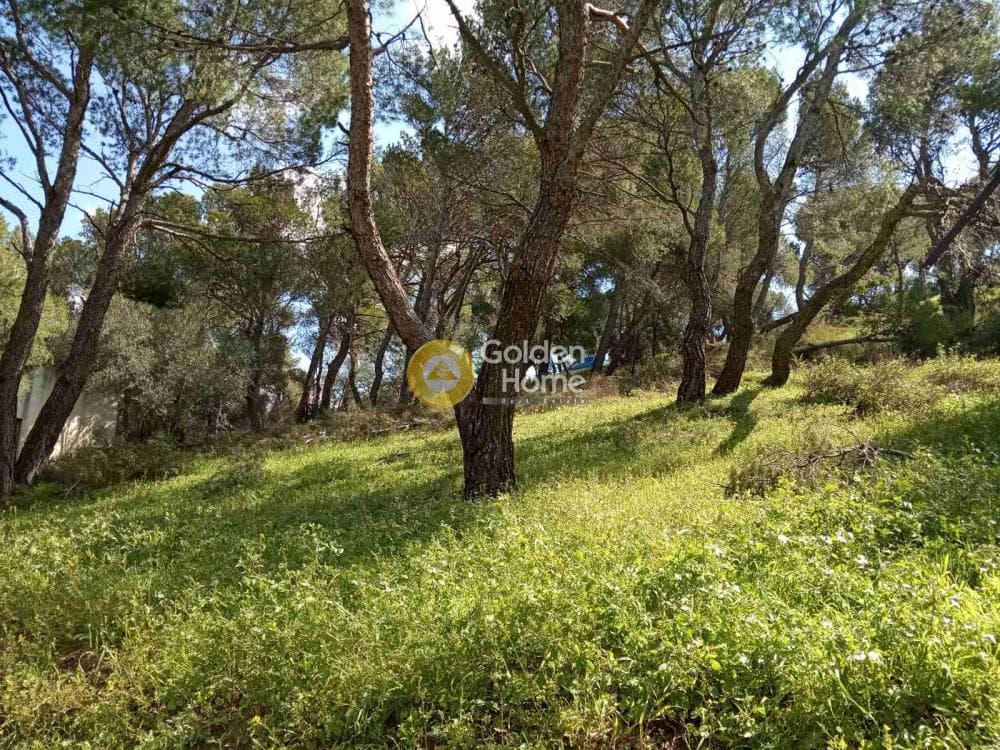 Οικόπεδο στην Κέντρο, Πεντέλη — Φωτογραφία 1 από 5