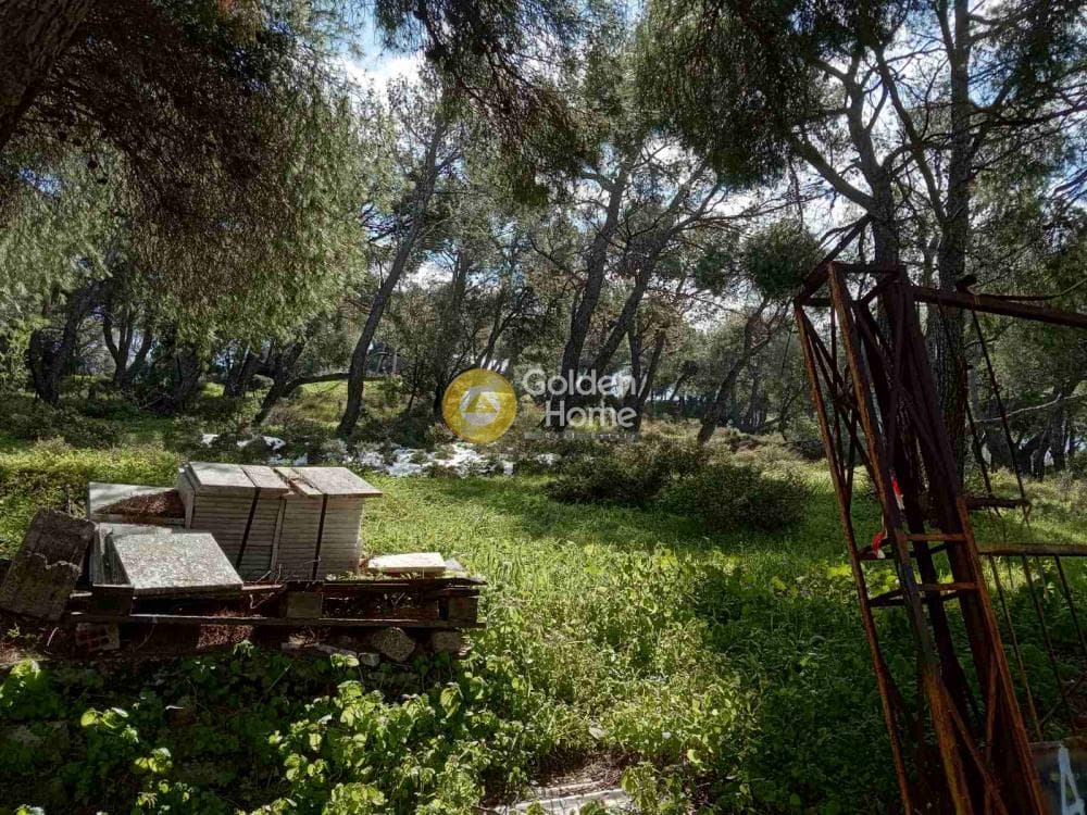 Οικόπεδο στην Κέντρο, Πεντέλη — Φωτογραφία 2 από 5