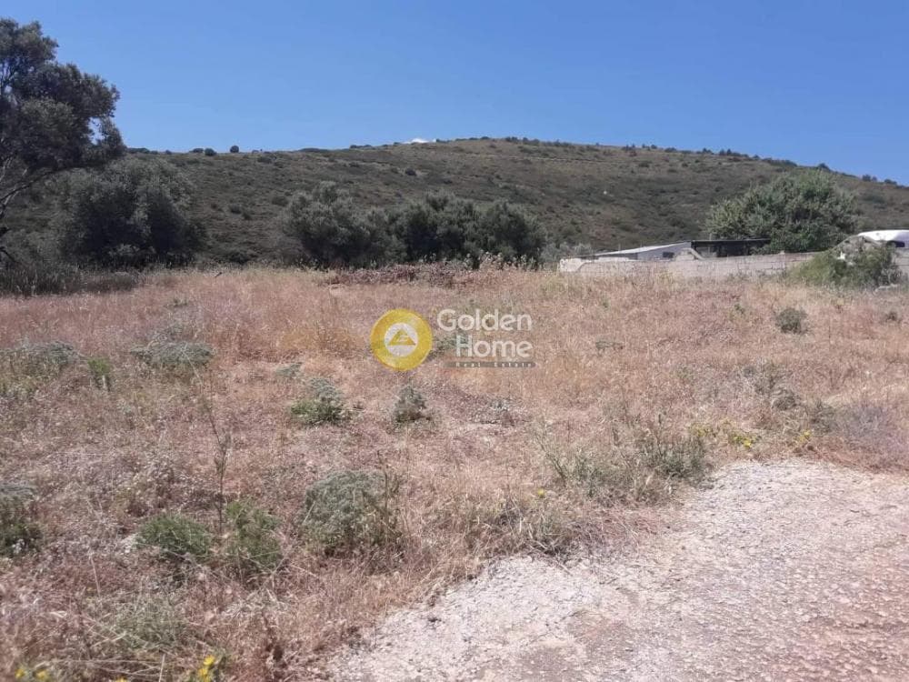 Parcel in Venio Daskaleiou, Keratea — Photo 2 of 4