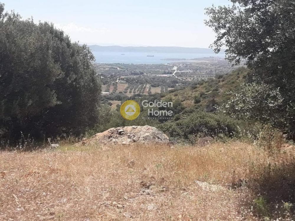 Parcel in Venio Daskaleiou, Keratea — Photo 4 of 4