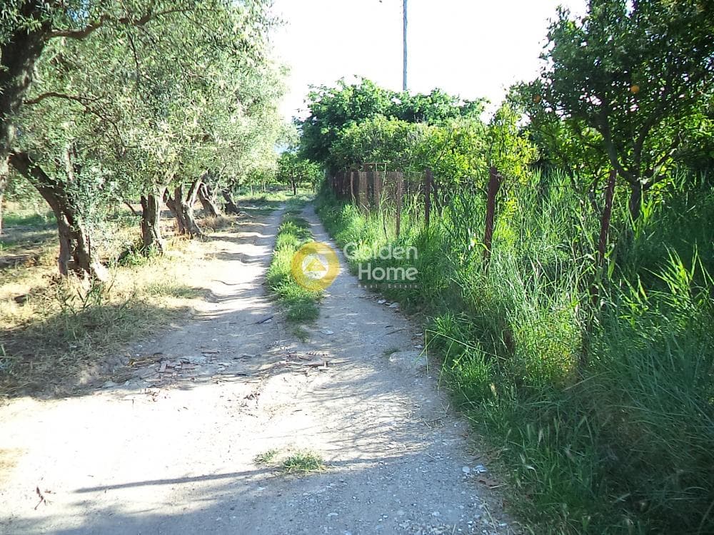 Μονοκατοικία στην Διγελιώτικα, Αίγιο — Φωτογραφία 2 από 8