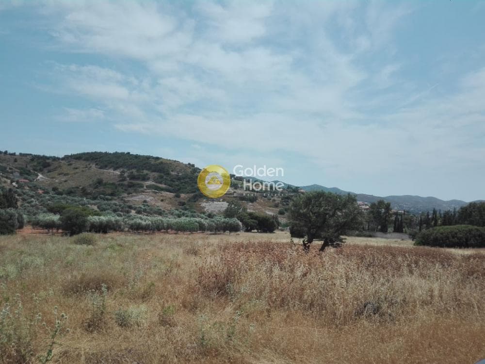 Αγροτεμάχιο στην Καλύβια, Καλύβια Θορικού — Φωτογραφία 3 από 9