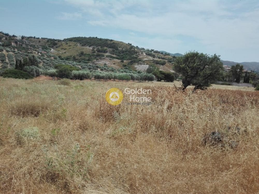 Αγροτεμάχιο στην Καλύβια, Καλύβια Θορικού — Φωτογραφία 8 από 9