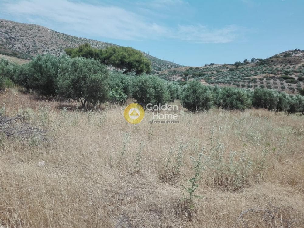 Αγροτεμάχιο στην Καλύβια, Καλύβια Θορικού — Φωτογραφία 9 από 9