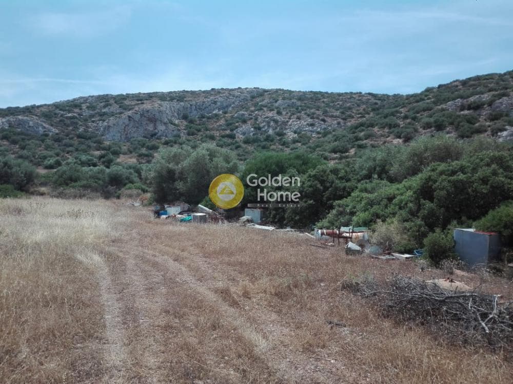 Building Plot in Feriza, Anavissos — Photo 1 of 5