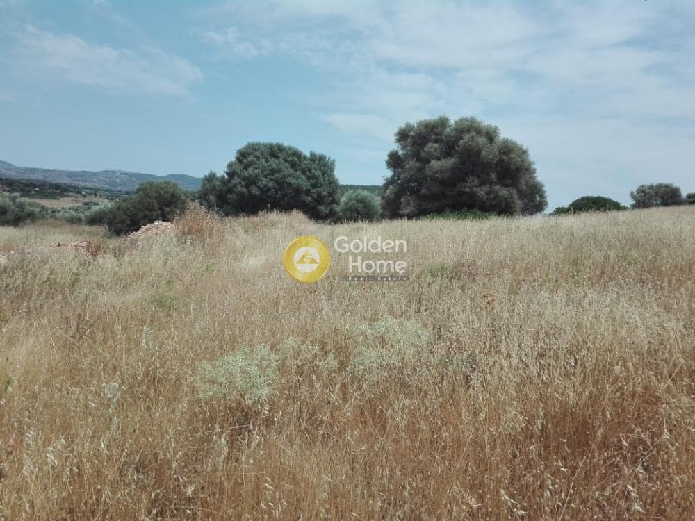 Building Plot in Feriza, Anavissos — Photo 2 of 5