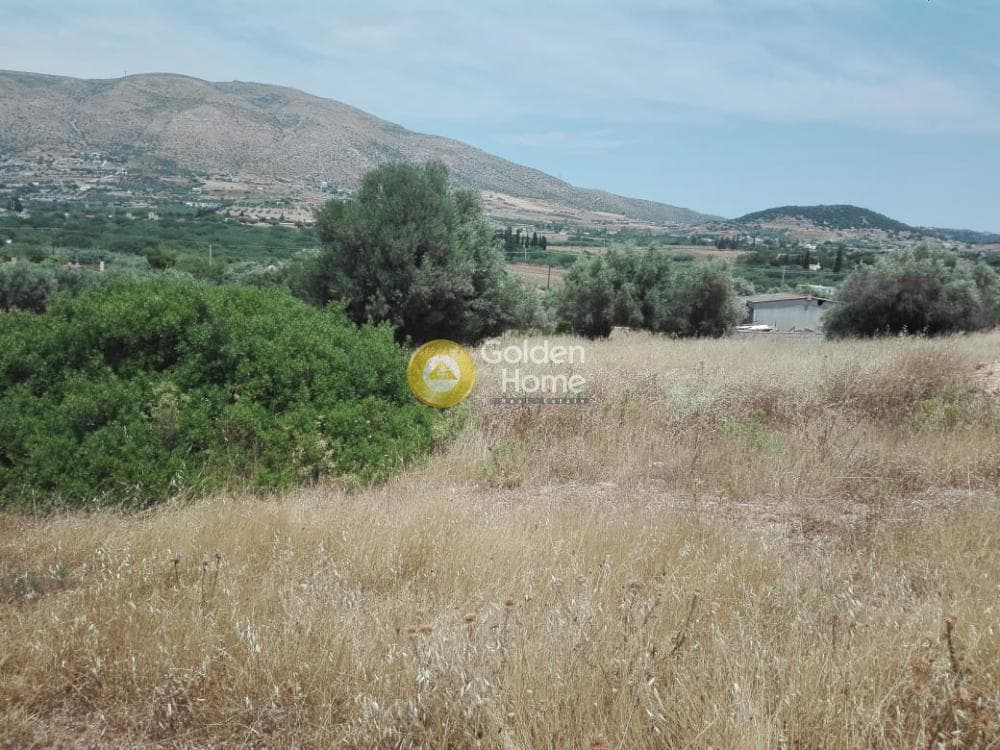 Building Plot in Feriza, Anavissos — Photo 3 of 5