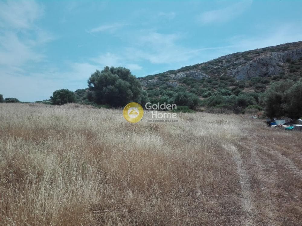 Building Plot in Feriza, Anavissos — Photo 4 of 5