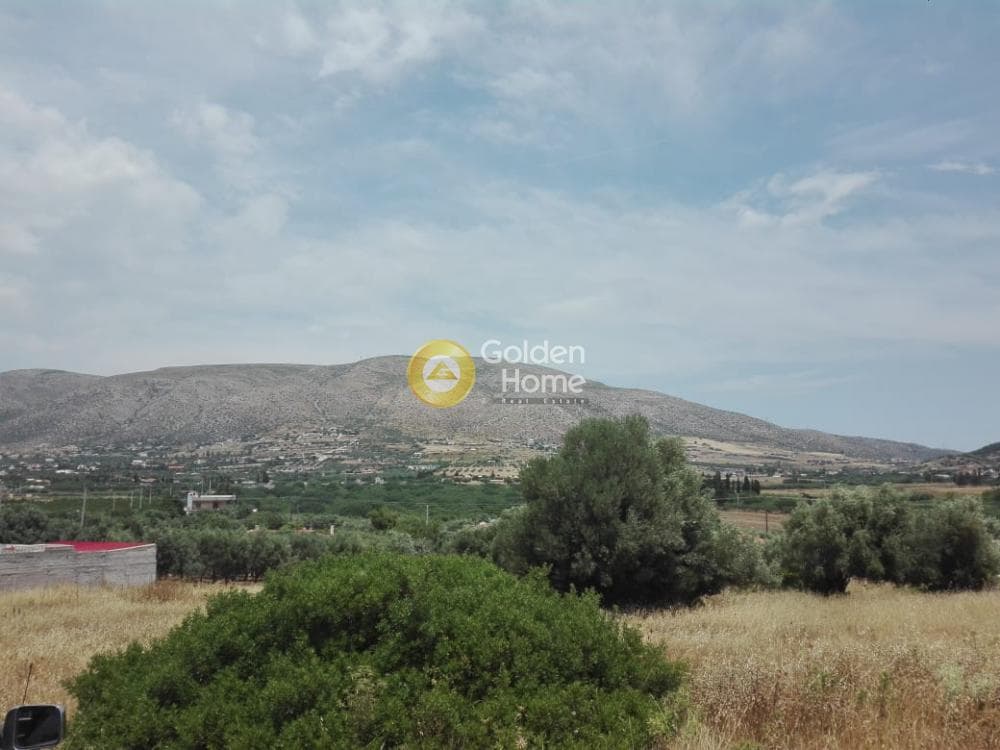 Building Plot in Feriza, Anavissos — Photo 5 of 5