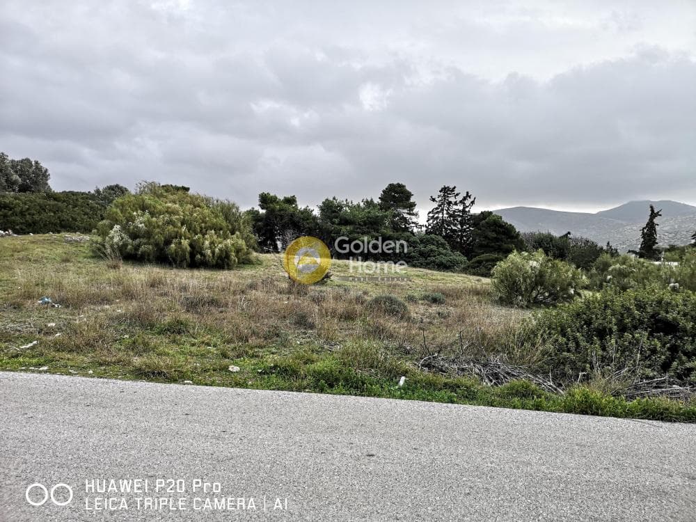 Αγροτεμάχιο στην Καλύβια, Καλύβια Θορικού — Φωτογραφία 1 από 3