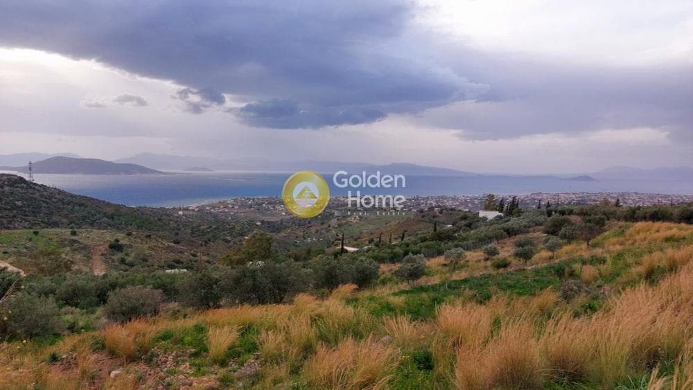 Οικόπεδο στην Τζίκηδες, Αίγινα — Φωτογραφία 1 από 2