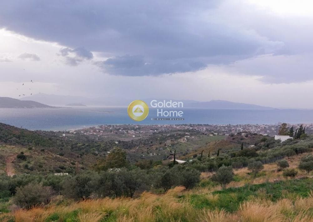 Οικόπεδο στην Τζίκηδες, Αίγινα — Φωτογραφία 2 από 2