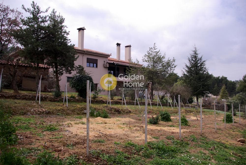 Μονοκατοικία στην Καπανδρίτι, Κ. Καπανδριτίου — Φωτογραφία 15 από 78