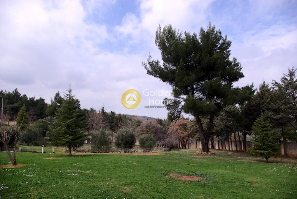Μονοκατοικία στην Καπανδρίτι, Κ. Καπανδριτίου — Φωτογραφία 16 από 78