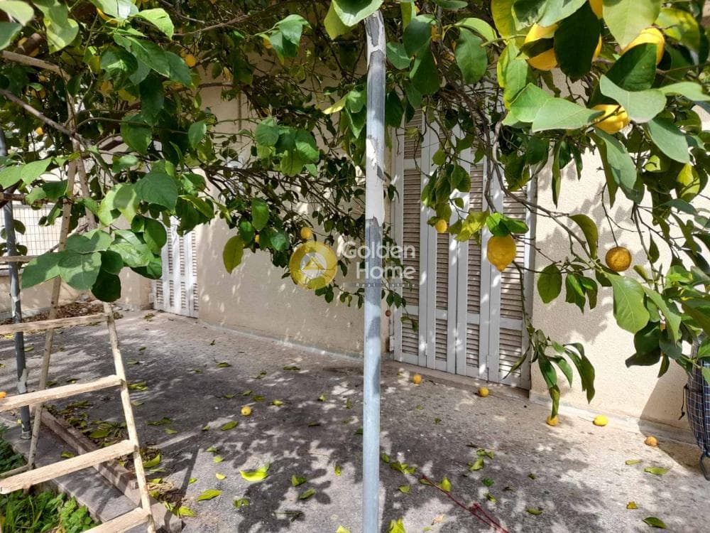 Μονοκατοικία στην Κάτω Κηφισιά, Κηφισιά — Φωτογραφία 29 από 34