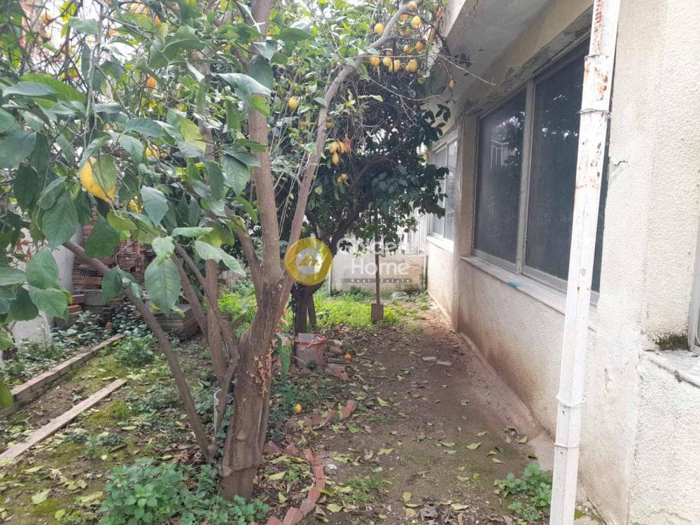 Μονοκατοικία στην Κάτω Κηφισιά, Κηφισιά — Φωτογραφία 34 από 34