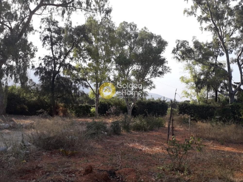 Μονοκατοικία στην Κέντρο, Κορωπί — Φωτογραφία 7 από 7