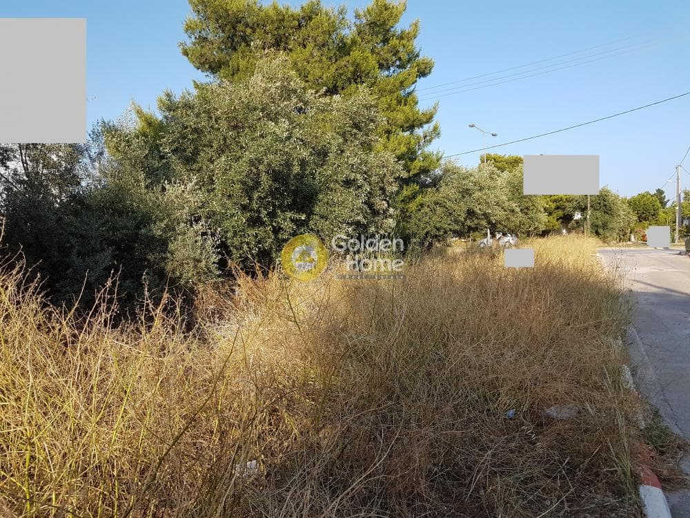 Building Plot in Patima, Chalandri — Photo 1 of 3