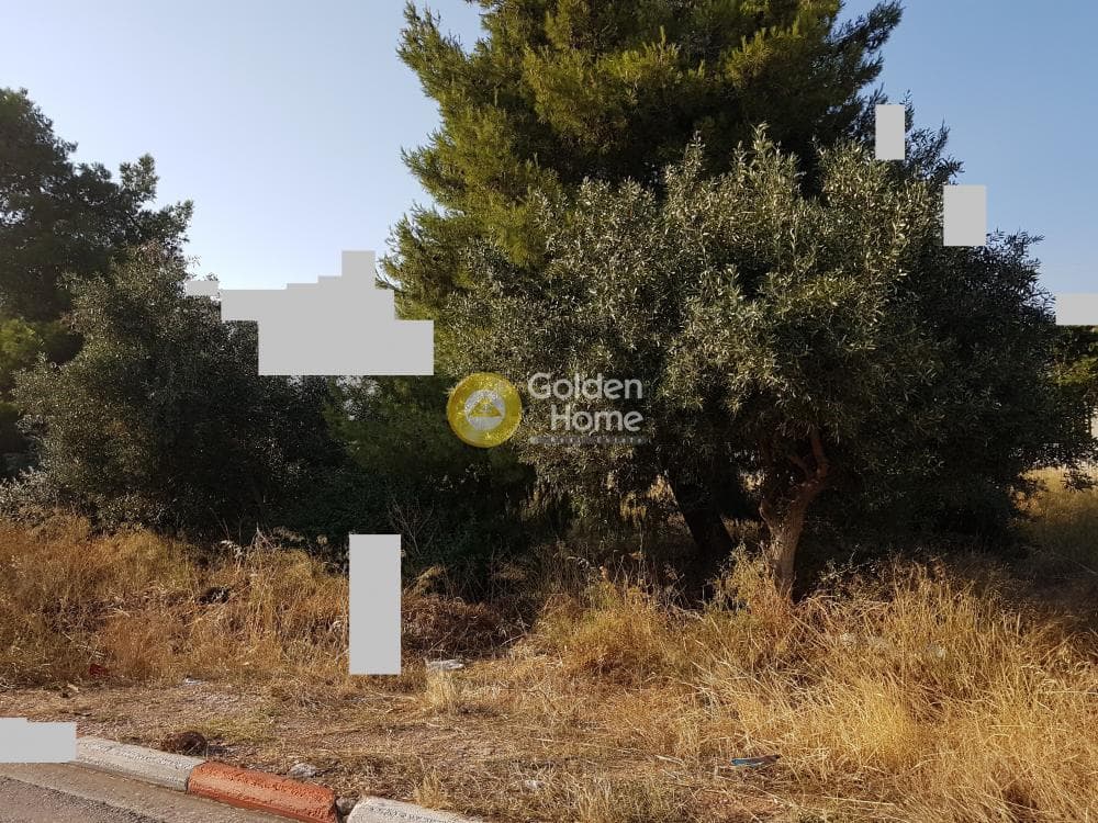 Building Plot in Patima, Chalandri — Photo 2 of 3