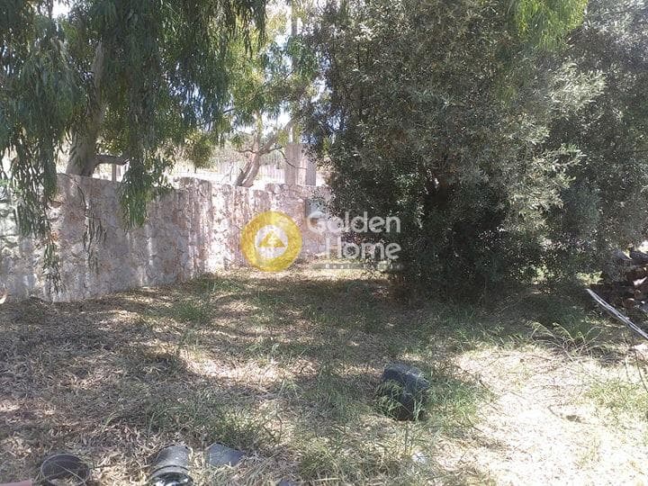 Μονοκατοικία στην Μητροπήσι, Κερατέα — Φωτογραφία 5 από 7