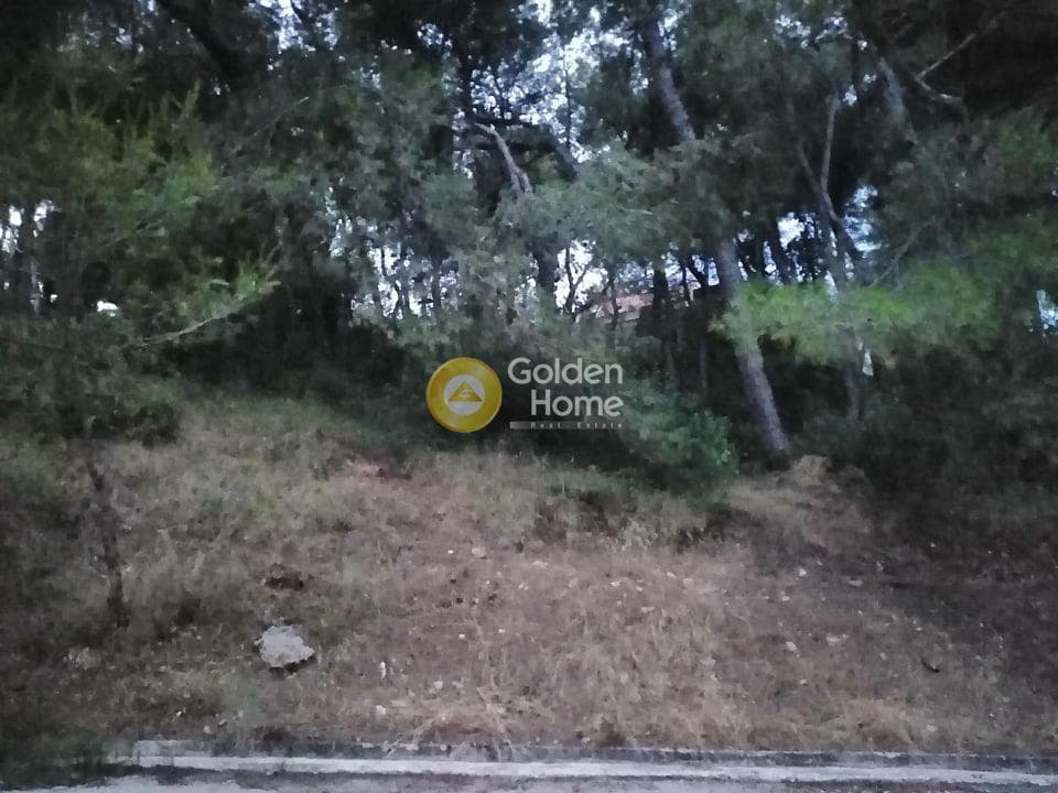 Building Plot in Agioi Aggeloi, Anoixi — Photo 5 of 8