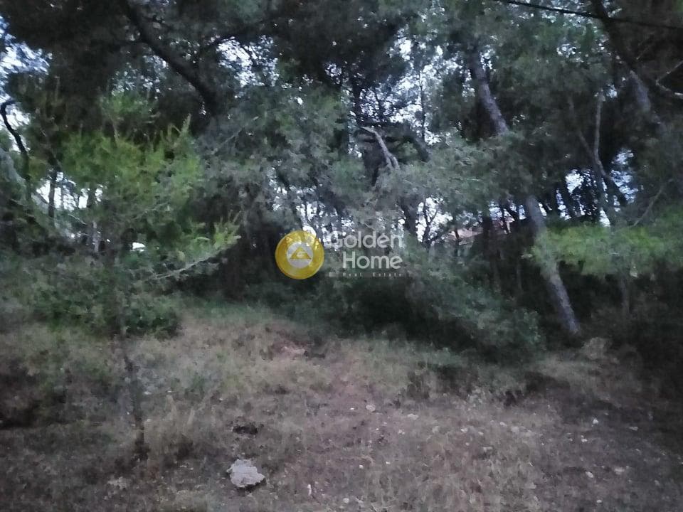 Building Plot in Agioi Aggeloi, Anoixi — Photo 6 of 8