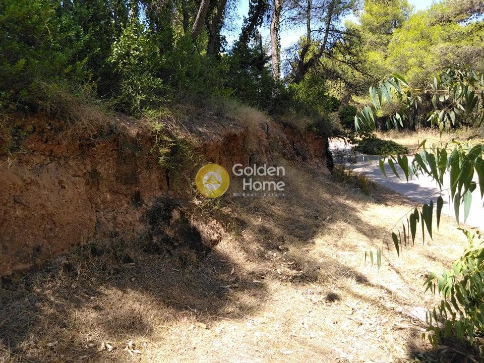 Building Plot in Agioi Aggeloi, Anoixi — Photo 1 of 8
