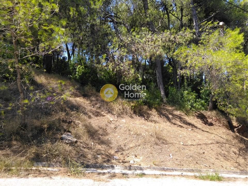 Building Plot in Agioi Aggeloi, Anoixi — Photo 2 of 8