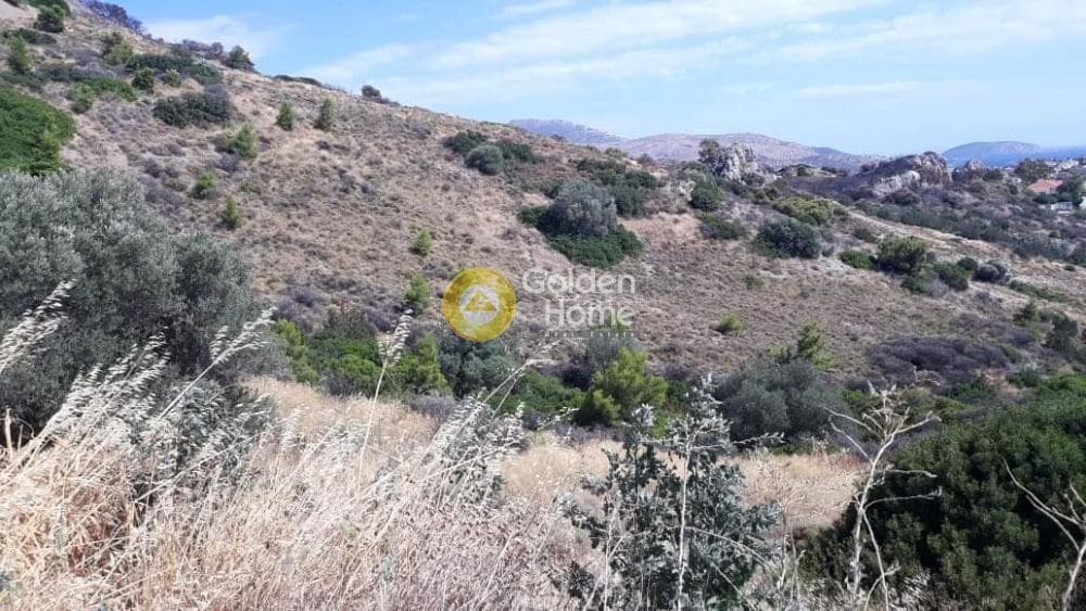 Parcel in Kalivia, Kalivia Thorikou — Photo 5 of 11