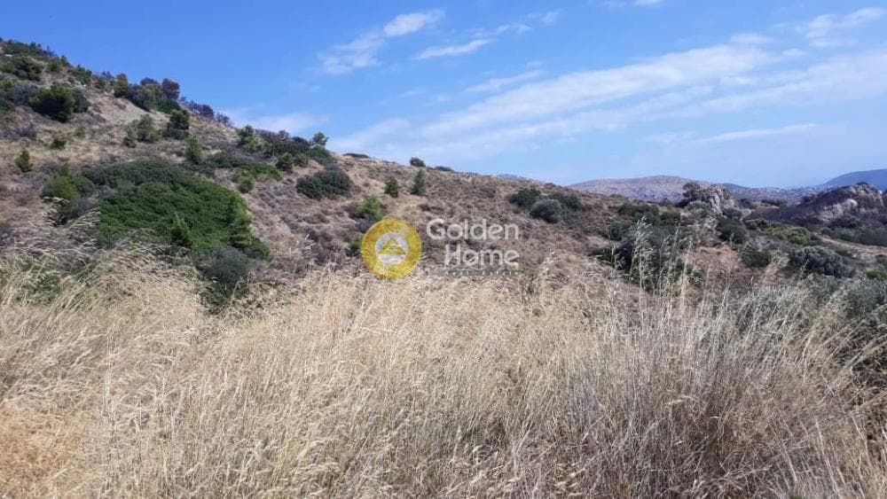 Parcel in Kalivia, Kalivia Thorikou — Photo 7 of 11