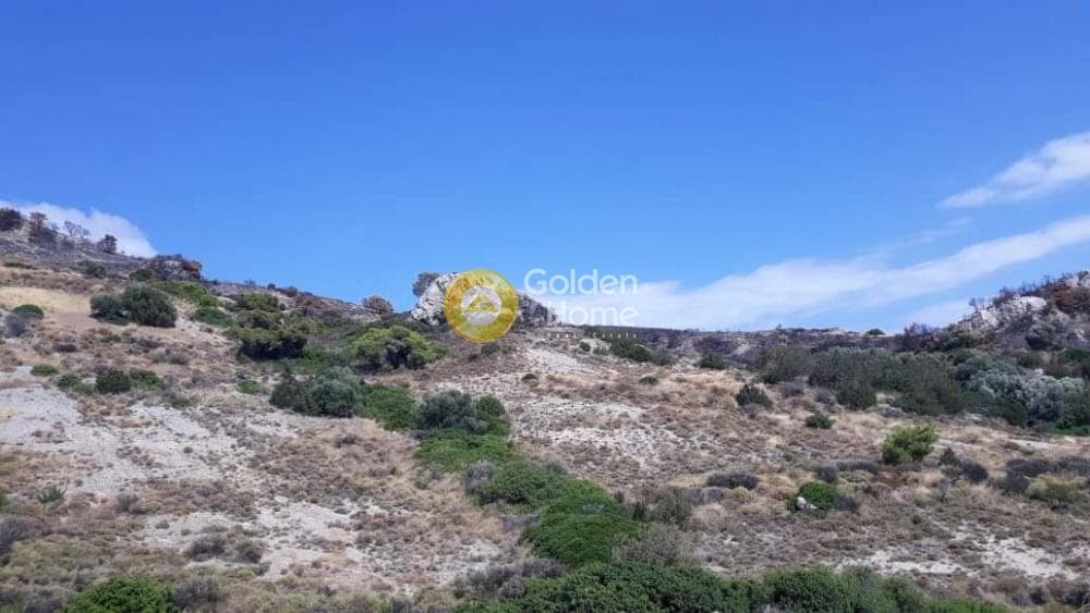 Parcel in Kalivia, Kalivia Thorikou — Photo 9 of 11