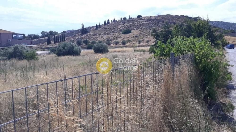 Parcel in Galazia akti, Kalivia Thorikou — Photo 1 of 7