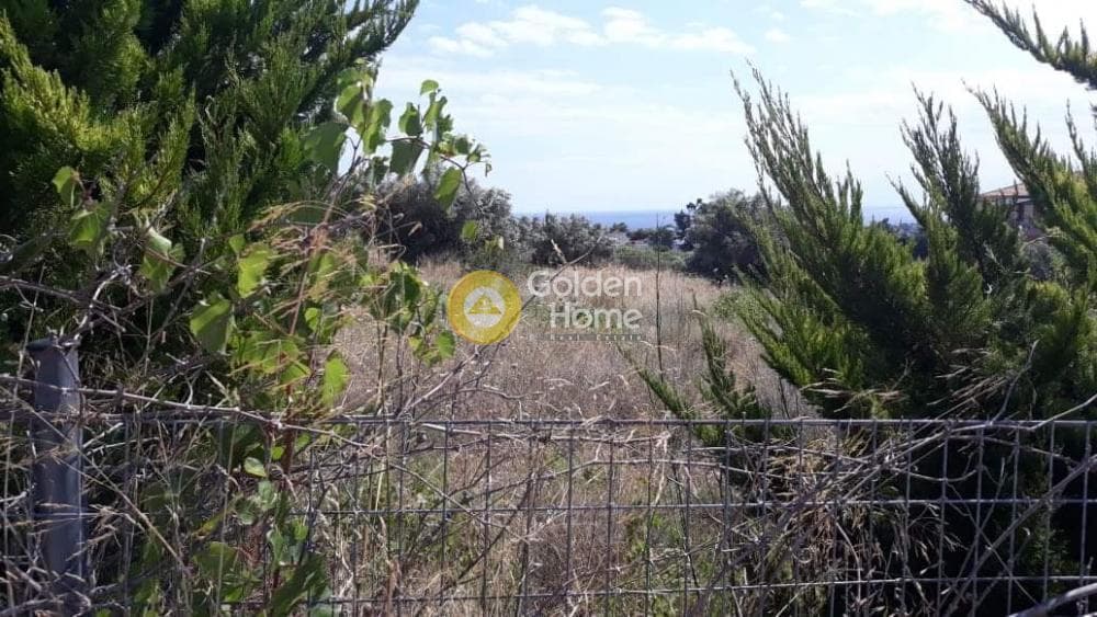 Parcel in Galazia akti, Kalivia Thorikou — Photo 6 of 7