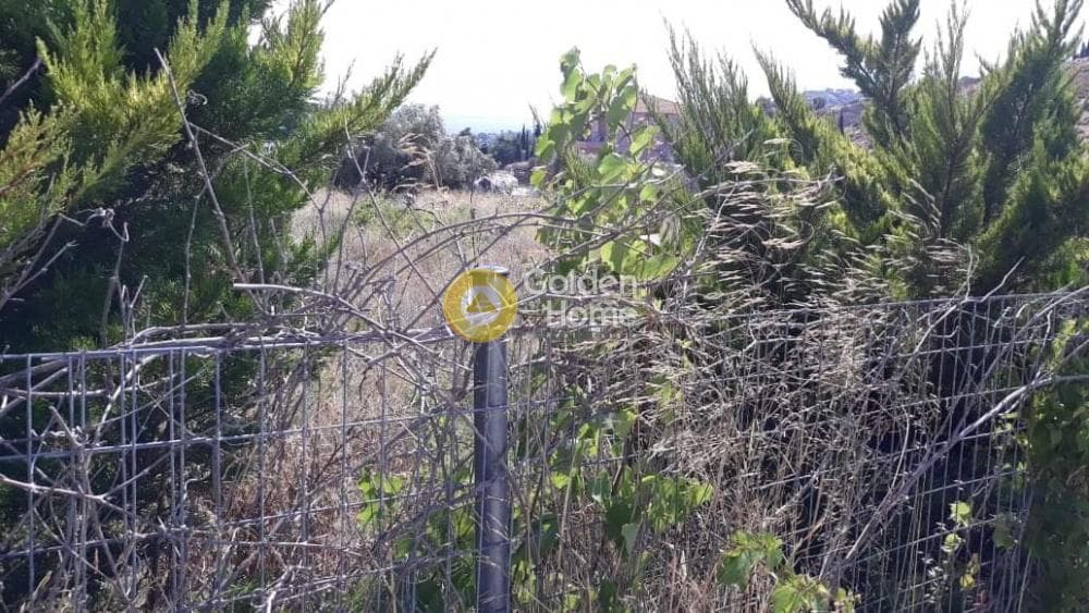 Parcel in Galazia akti, Kalivia Thorikou — Photo 7 of 7