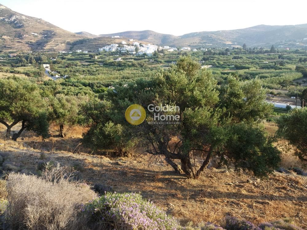 Parcel in Eggares, Naxos — Photo 2 of 4