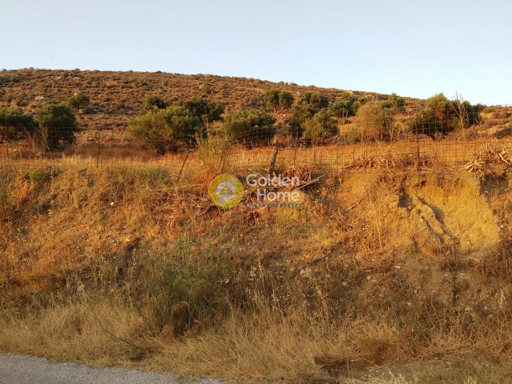 Parcel in Eggares, Naxos — Photo 4 of 4