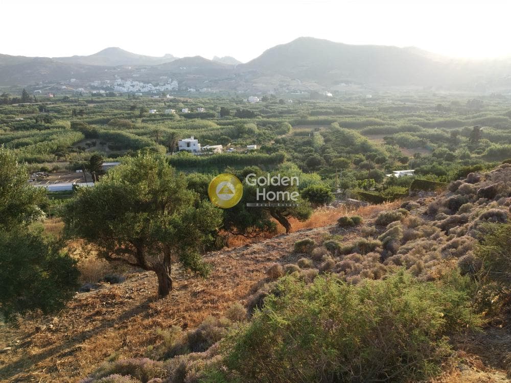 Parcel in Eggares, Naxos — Photo 3 of 4