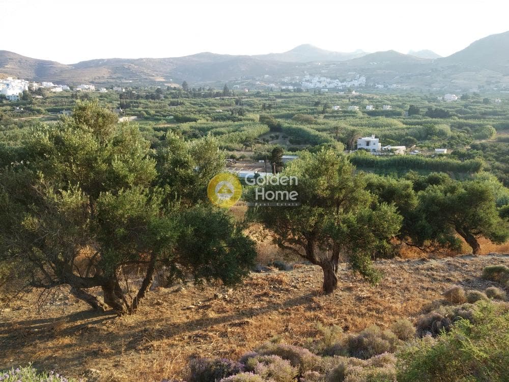 Parcel in Eggares, Naxos — Photo 1 of 4