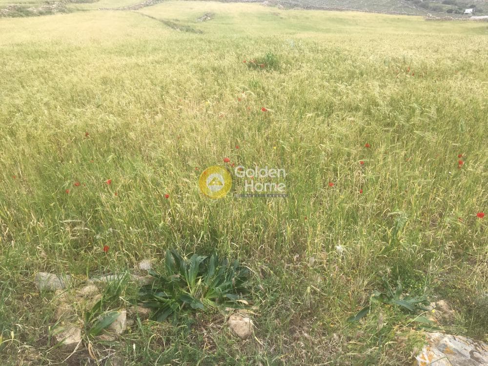 Οικόπεδο στην Πάνορμος, Μύκονος — Φωτογραφία 6 από 6