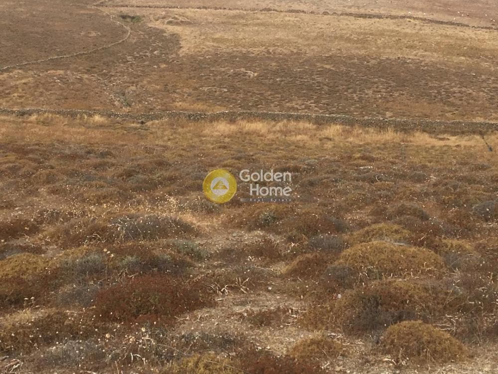 Οικόπεδο στην Πάνορμος, Μύκονος — Φωτογραφία 3 από 6