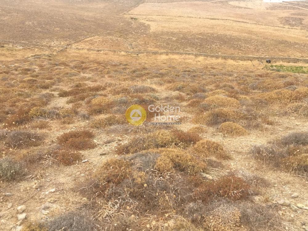 Οικόπεδο στην Πάνορμος, Μύκονος — Φωτογραφία 4 από 6