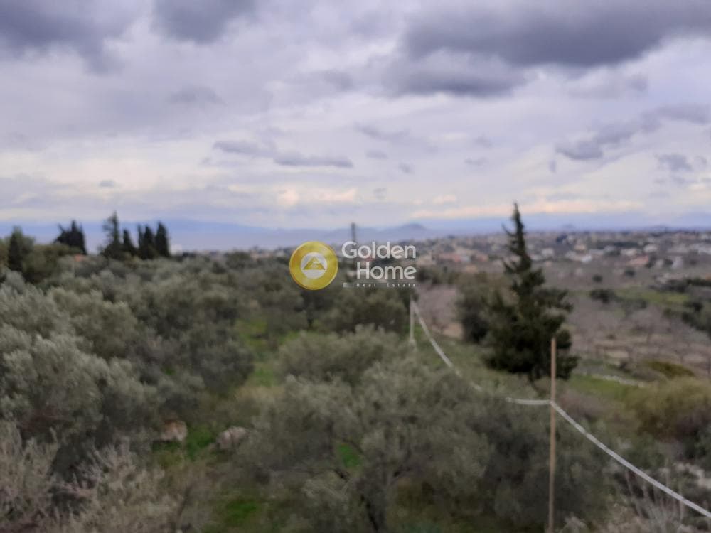Parcel in Kapotides, Aegina — Photo 1 of 3