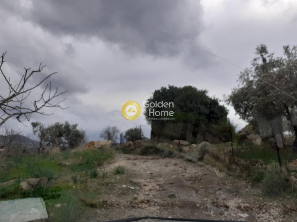Parcel in Kapotides, Aegina — Photo 2 of 3